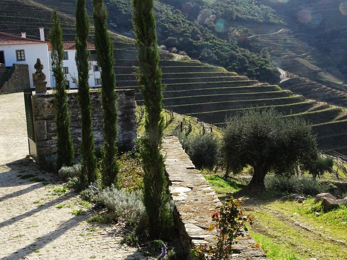 Quinta Da Gricha Hotel Ervedosa do Douro Exterior photo